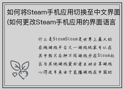 如何将Steam手机应用切换至中文界面(如何更改Steam手机应用的界面语言为中文)